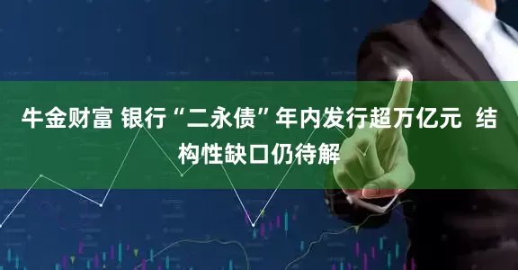 牛金财富 银行“二永债”年内发行超万亿元  结构性缺口仍待解